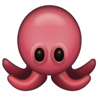 image-OctoFi